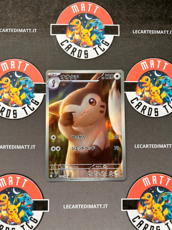 Furret 110/100 AR