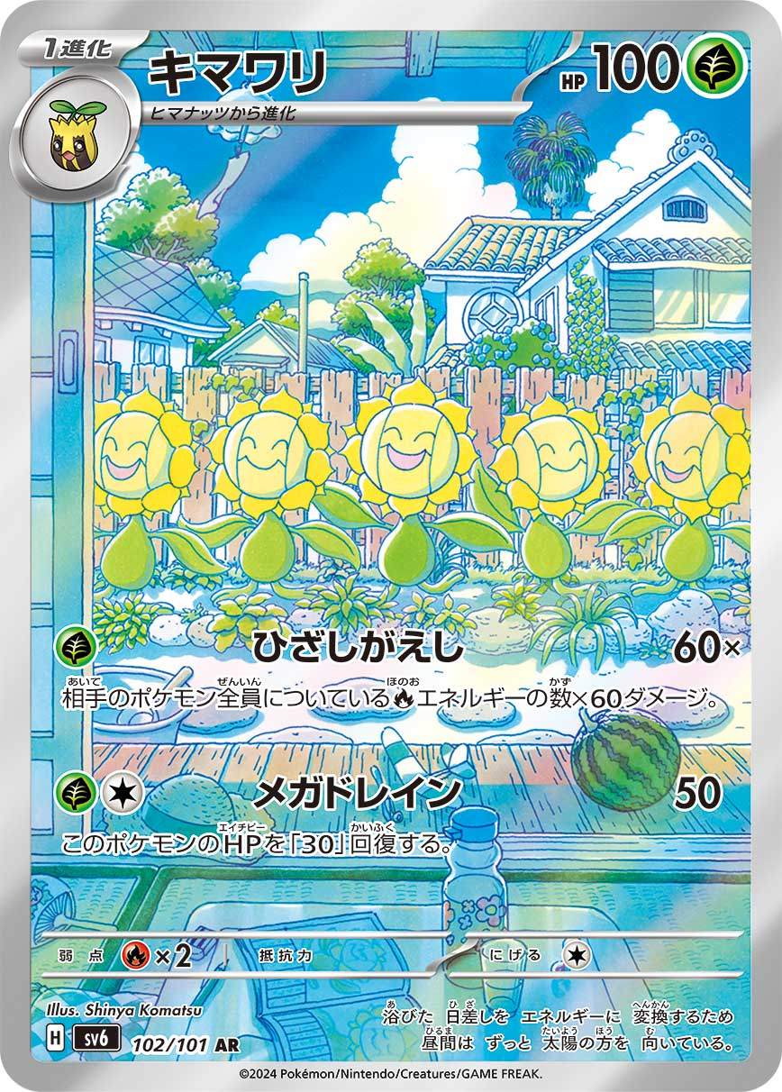 Sunflora AR SV6 102/101