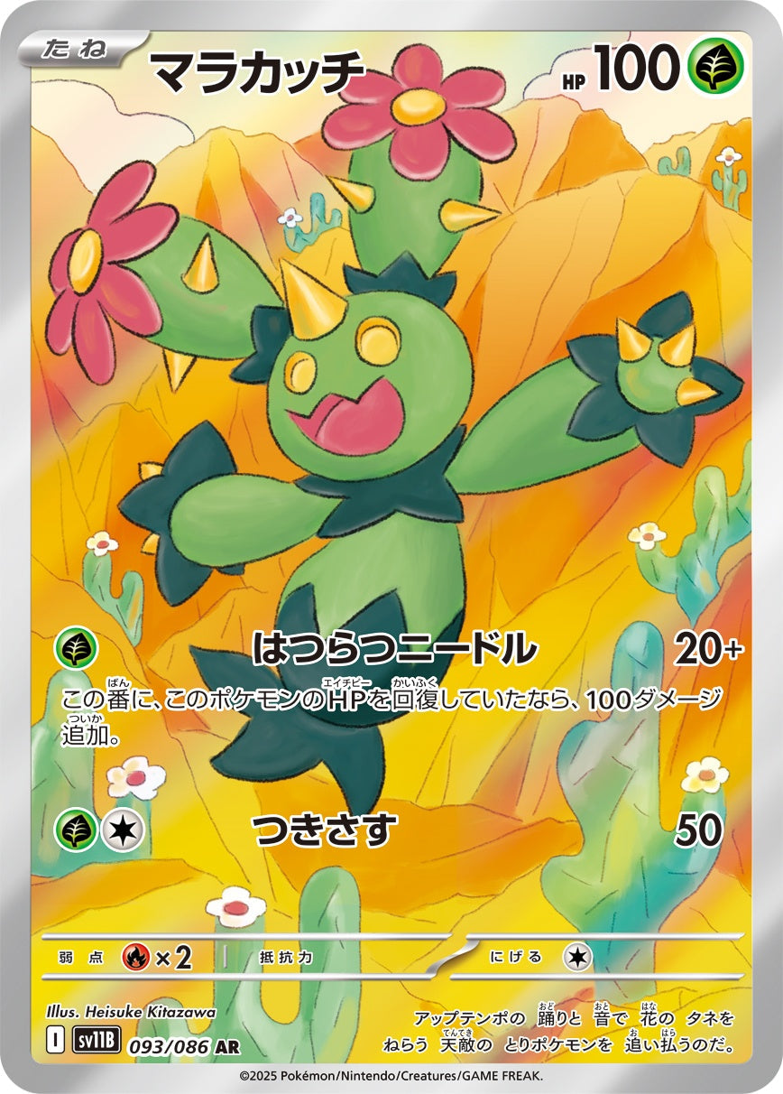 Maractus AR SV11B 093/086