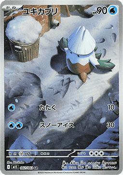 Snover 067/063 AR