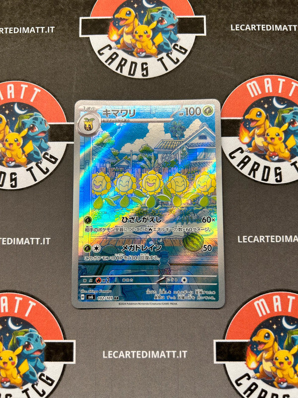 Sunflora 102/101 AR