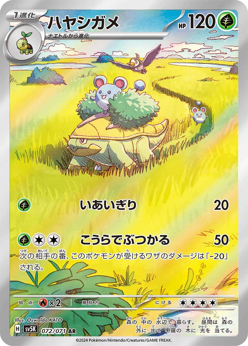 Grotle AR SV5K 072/071