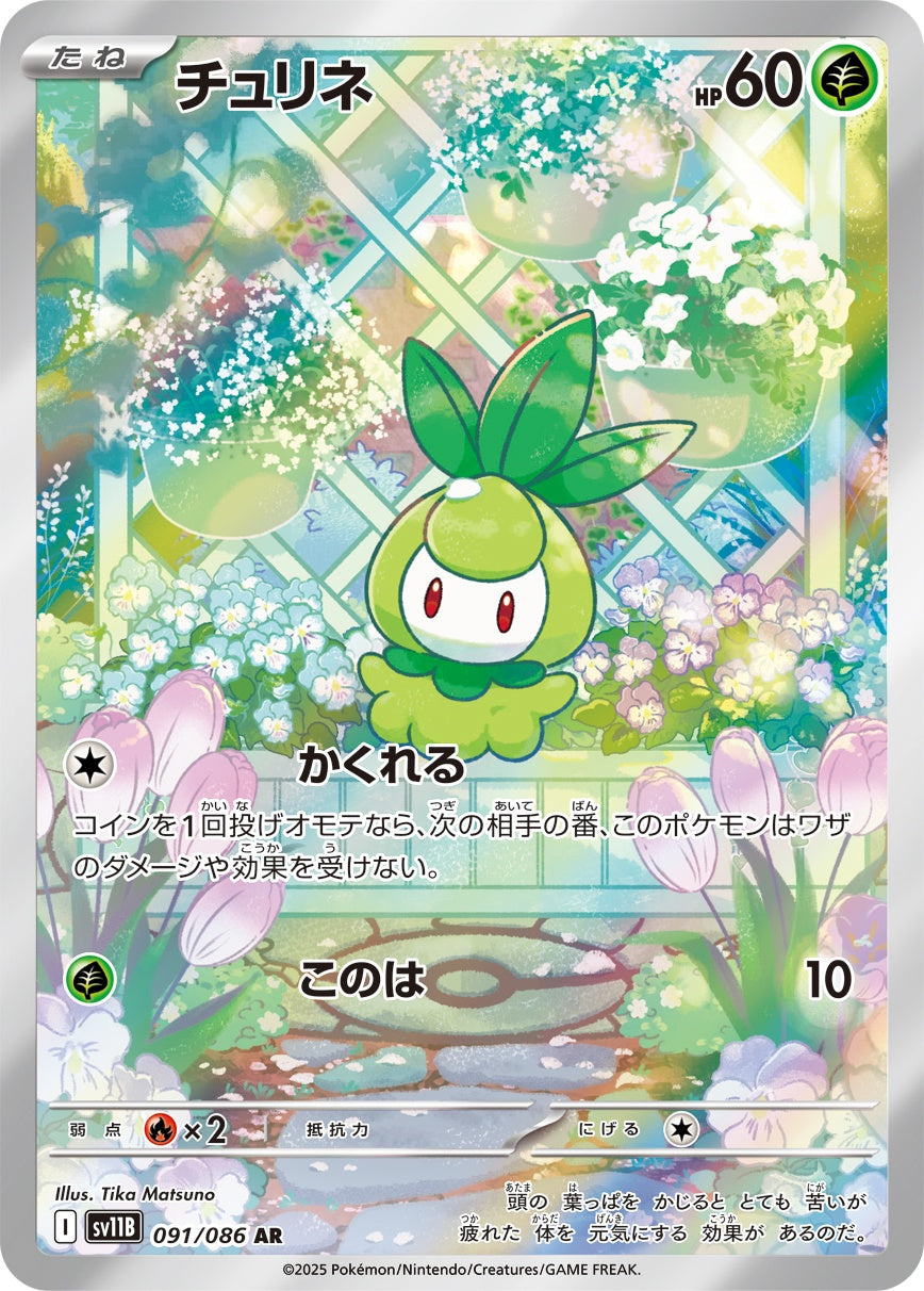 Petilil AR SV11B 091/086