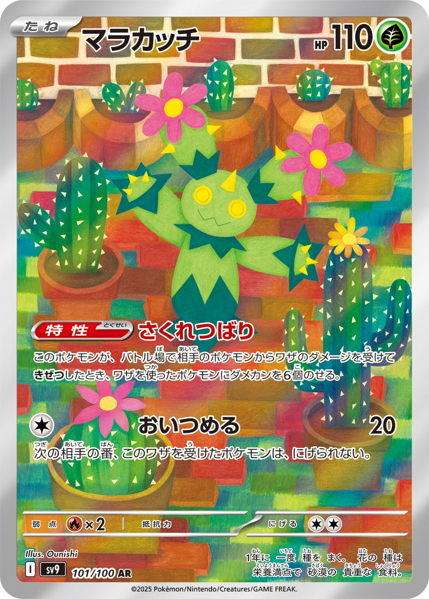 Maractus AR SV9 101/100
