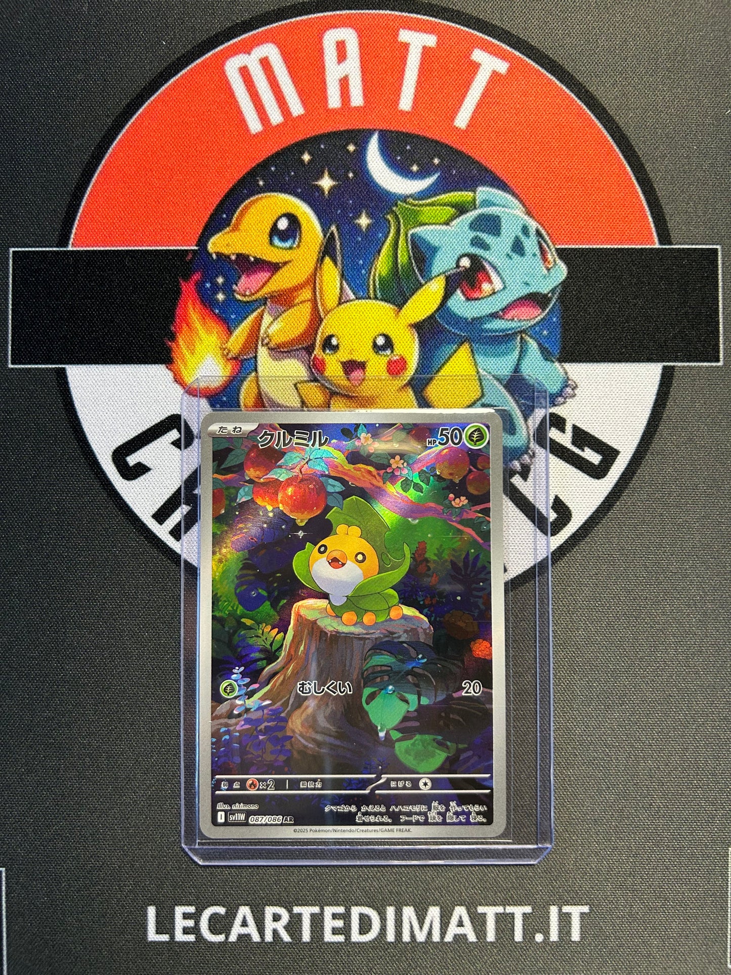Sewaddle 087/086 AR