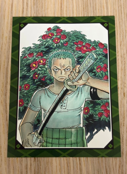 One Piece Zoro Light Novel