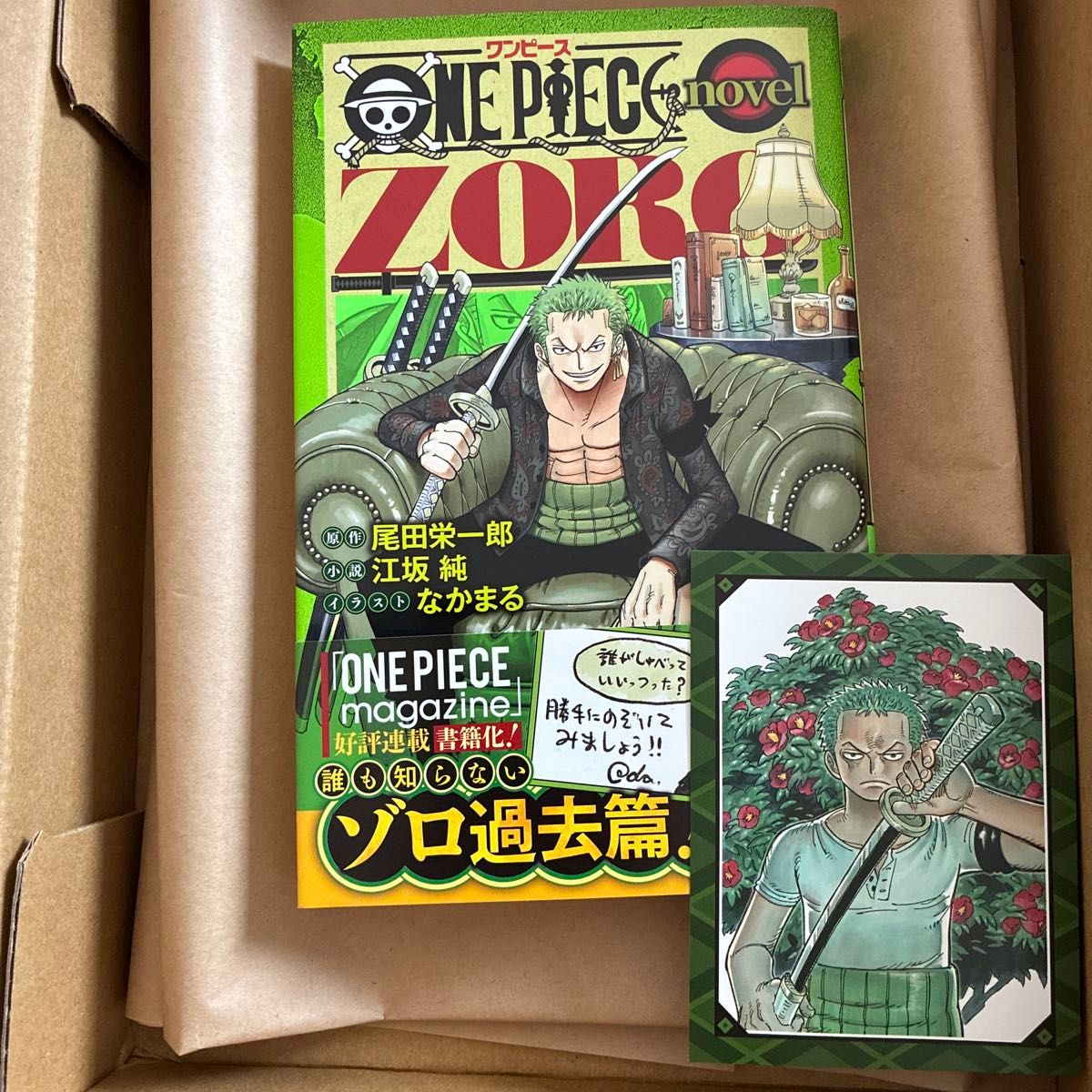 One Piece Zoro Light Novel